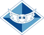 team logo