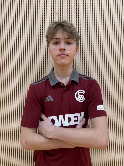 player image